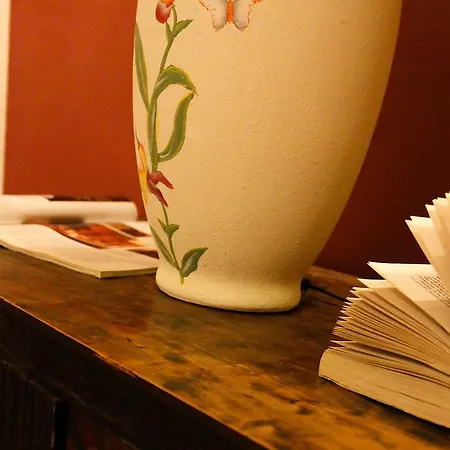 Guest house Guesthouse Stazione Pisa Centro